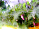 DSCN3589