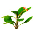 DSCN3590