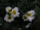 2151827050075666569fESDWm_fs