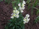 2173856820075666569FNJUhi_fs