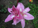 2302515390075666569TahKak_fs