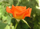 2550066510075666569uHcWDG_fs