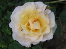 2558434520075666569OyKuEp_fs