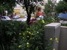 2607160240075666569azRBPA_fs