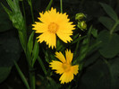 2715986620075666569kySPQS_fs