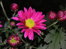 2789004770075666569oHMgiR_fs