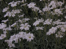 2927509670075666569YnRNZc_fs