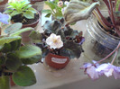 DSC01927