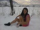 Photo0342