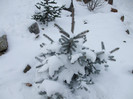 DSCF3660