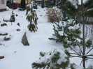 DSCF3662