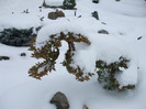 DSCF3664