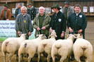 oi charolais in germania