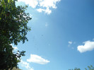 DSC01067