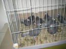 IMG_7957