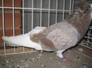 IMG_7982