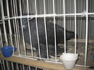 IMG_7989