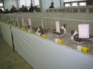 IMG_7995