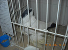 Picture 582