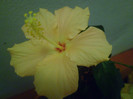 P1010942