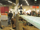 Expozitia nationala de la N