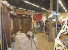 Expozitia nationala de la N