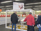 Expozitia nationala de la N