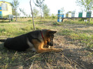 DSCN1833