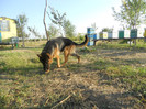 DSCN1834