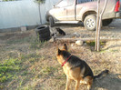 DSCN1840