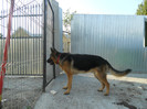 DSCN1855