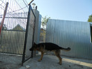 DSCN1860