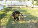 DSCN1918