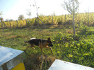DSCN1922