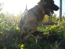 DSCN1941