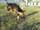 DSCN1947