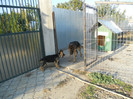 DSCN1953
