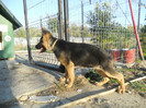 DSCN1955