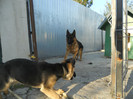 DSCN1956