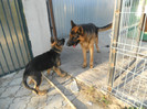 DSCN1957