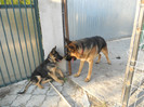 DSCN1959