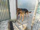 DSCN1961