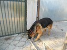 DSCN1962