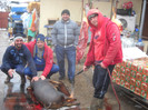 TZUPA, BABURICA, ION, ALIN