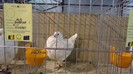 DSC02357