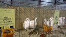 DSC02358
