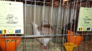 DSC02361