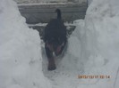 IMG_0090