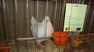 DSC02373