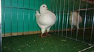 DSC02383